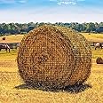 Bloomoak Large Round Bale Hay Net for Horses, 5 * 5 Feet Slow Feed Hay Net Feeder for Livestocks, with 1.5" Hole/2.5" Hole (1.5" Hole for Slow Feed)