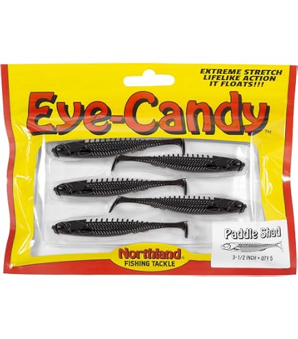 Amazon.com : Bass Assassin Lures Turbo Shad-Purple Canary-4" : Fishing Bait Traps : Sports & Outdoors Amazon.com : Bass Assassin Lures Turbo Shad-Purple Canary-4" : Fishing Bait Traps : Sports & Outdoors