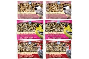 Blue Seal Suet Treat Bars for Wild Birds - No Mess Suet Feed, Food for Woodpeckers, Cardinals, Siskins, Sparrows & More - 8 oz Suet Feeder, Bird Seed Cakes (Variety Pack of 6)