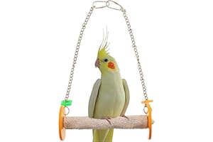 Sweet Feet and Beak Roll Bird Swing - Pumice Perch Bird Toys Trims Nails and Beaks, Safe and Non-Toxic Bird Cage Accessories for Small and Large Birds, Swinging Toys Birds Will Love, XSmall 4.5 Inches