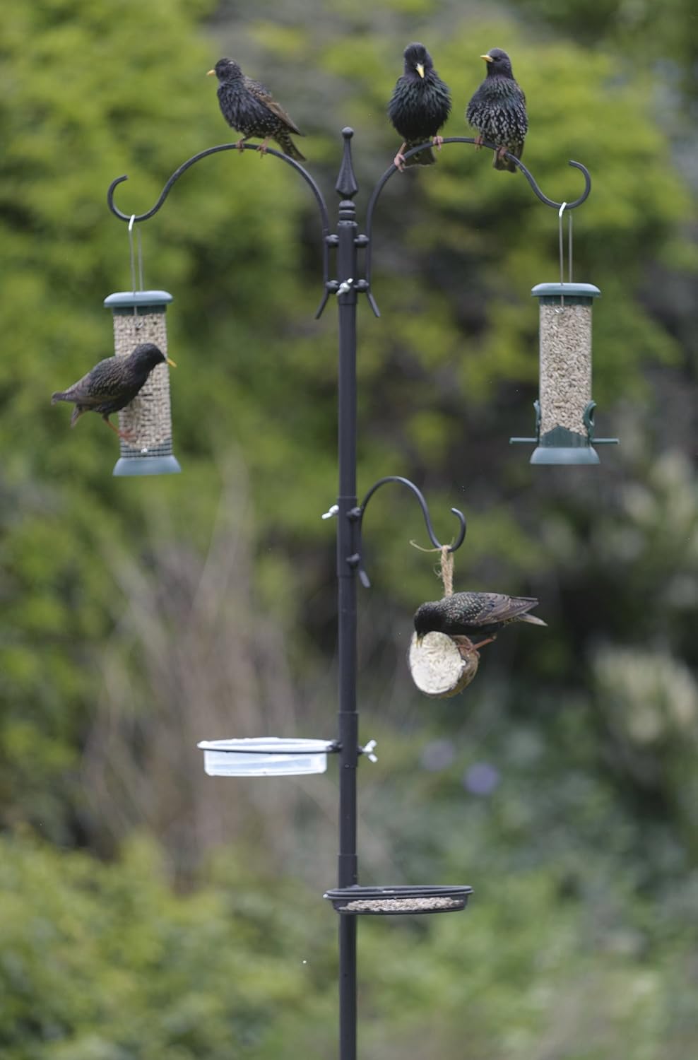 Rspb Feeding Station Amazon Co Uk Garden Outdoors