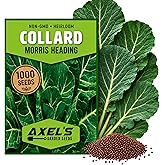 1000+ Collard Green Seeds for Planting - Heirloom Non-GMO | Brassica oleracea