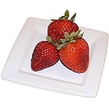 Square White Appetizer Plates, Set of 4