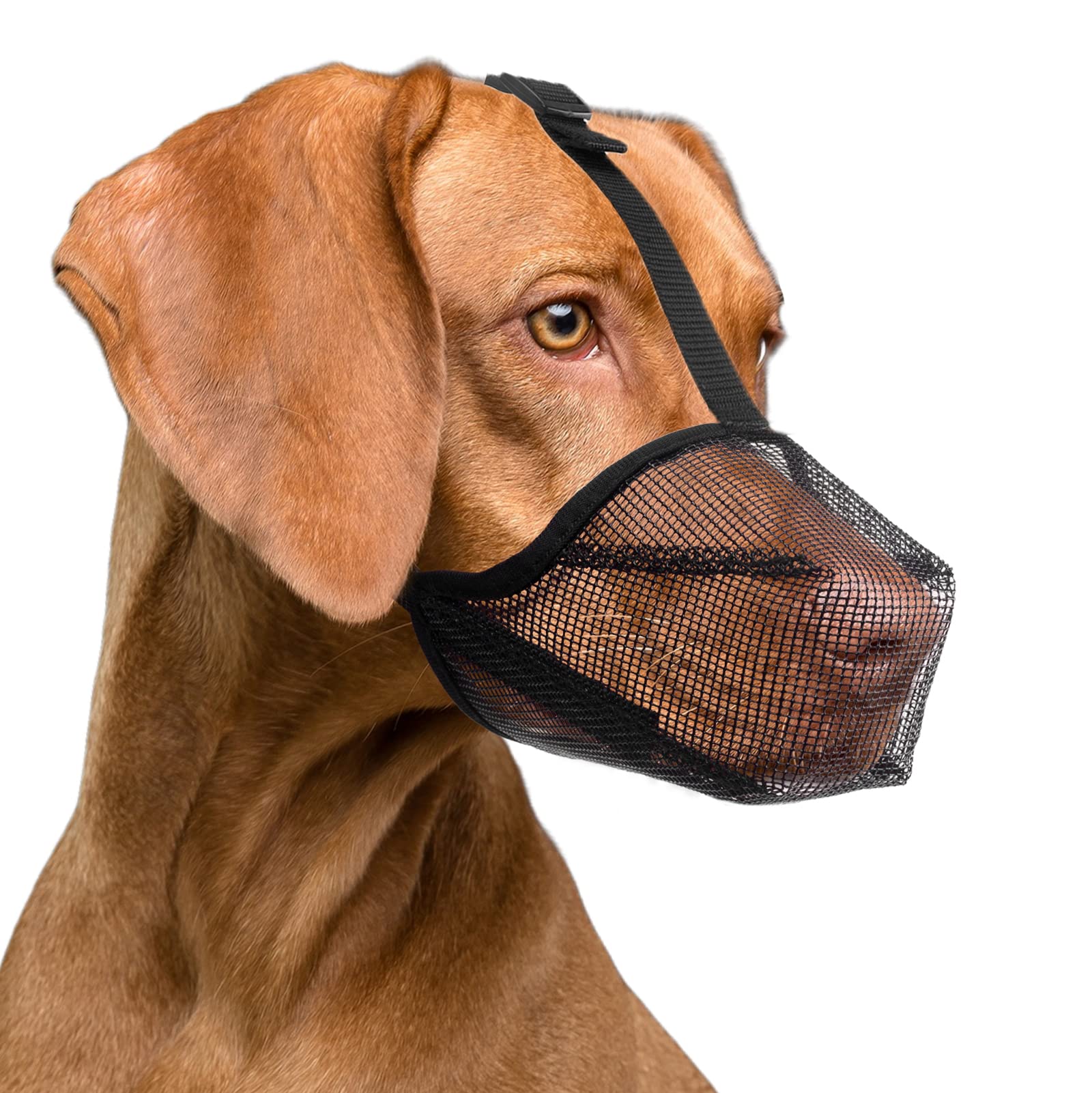 ILEPARK Dog Muzzle with Rounded Mesh, Breathable Muzzle for Small Medium Large Dogs, Prevent Eating, Biting and Chewing(L, Black)
