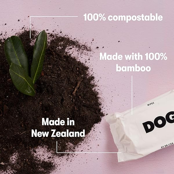 CAT BY DR LISA – CAT WIPES – PLANT-BASED, NATURAL BATHING WIPES FOR CATS – MADE FROM 100% COMPOSTABLE BAMBOO – VET-CREATED – VEGAN – NON-TOXIC – MADE IN NEW ZEALAND (80 PACK)