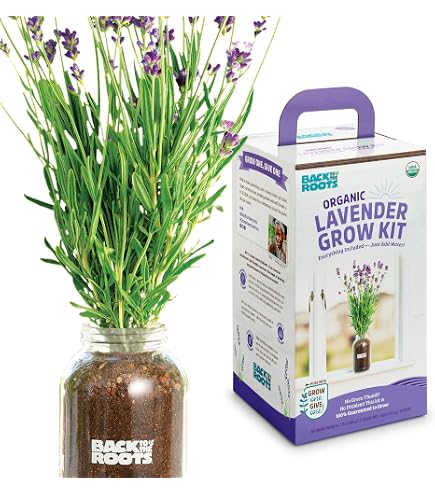Hydroponic Herb Growing Kit – Pink Ceramic Self-Watering Garden With Organic Basil Seeds