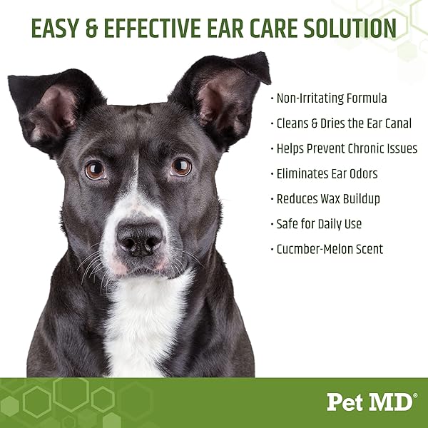 PET MD – DOG EAR CLEANER WIPES – OTIC CLEANSER FOR DOGS TO STOP EAR ITCHING, AND INFECTIONS WITH ALOE AND EUCALYPTUS – 100 COUNT
