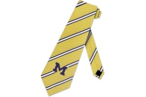 Eagles Wings Michigan Ties Mens College Wolverines Sports Necktie