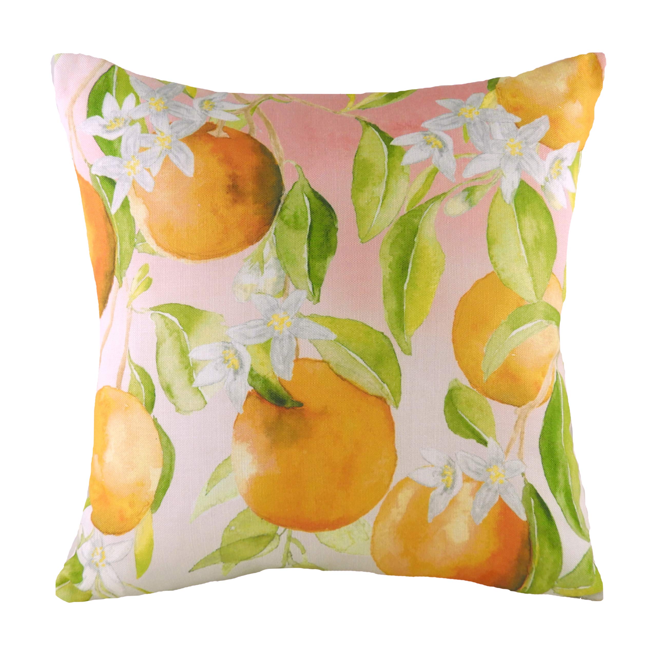 Evans Lichfield Fruit Oranges Feather Filled Cushion, Multi, 43 x 43cm