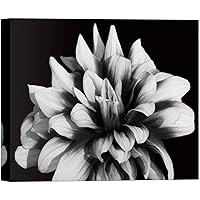 SIGNWIN Canvas Wall Art A Full Bloom Dahlia Floral Flower Photography Modern Art Romantics Closeup Dramatic Black and White for Living Room, Bedroom, Office - 12x18 inches
