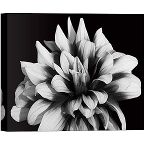 SIGNWIN Canvas Wall Art A Full Bloom Dahlia...