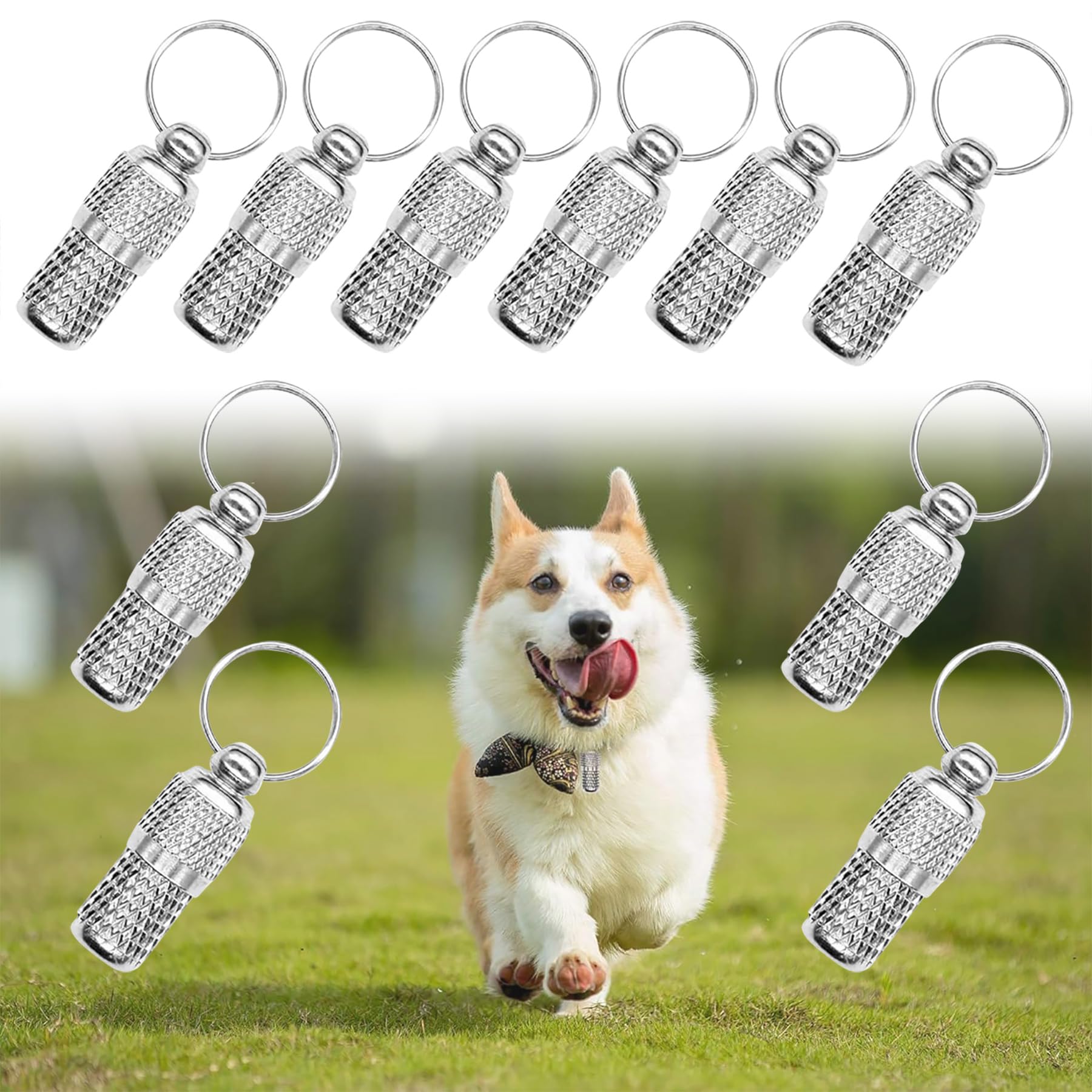 AUEAR, Pet ID Tags Name Address Cell Phone Number