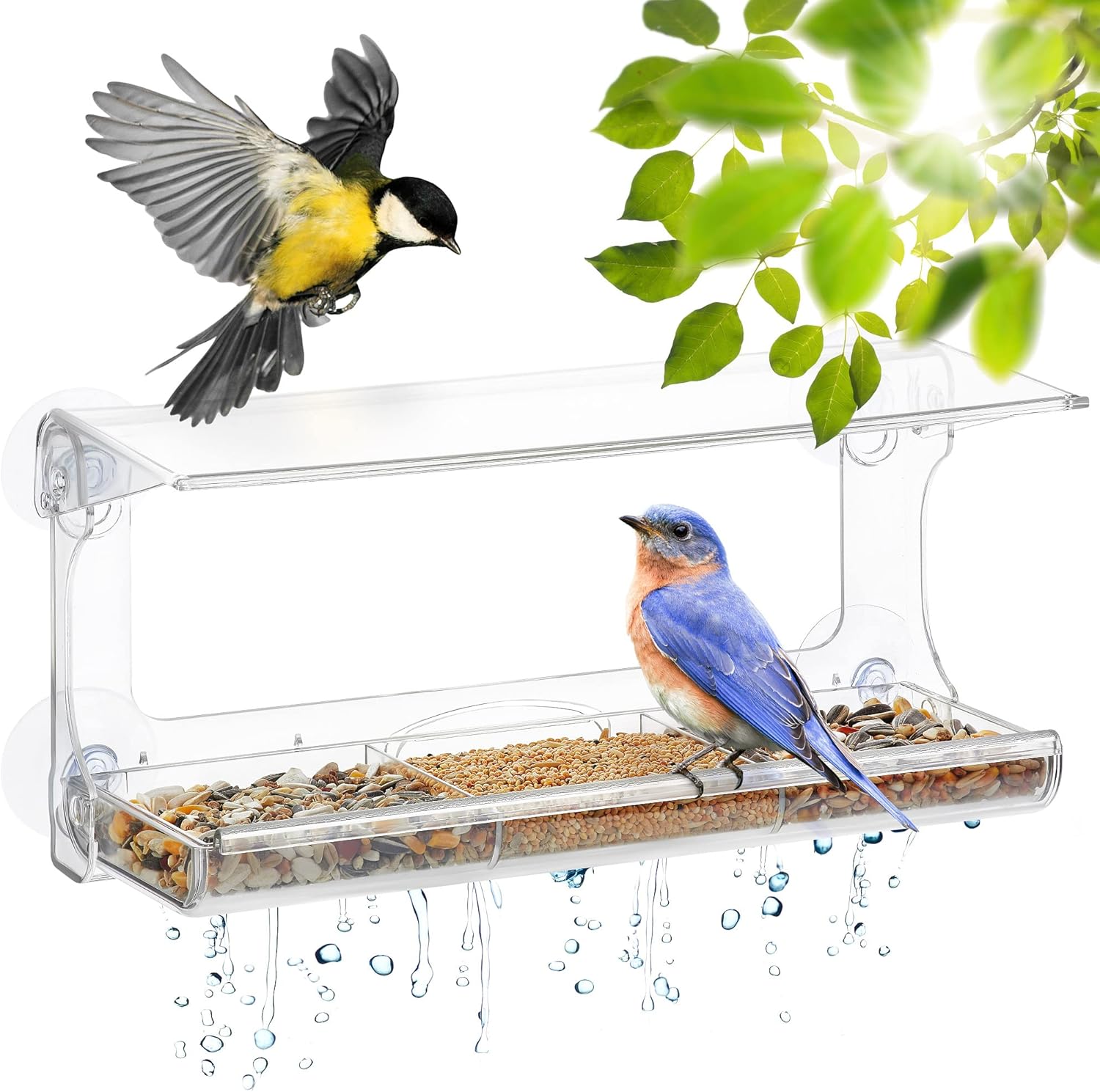Backyard Birding & Wildlife - D.F. Omer Window Bird Feeder with 3 Section Tray and Roof Cover, Weatherproof Outdoor Suction Cup Hanger Acrylic Plastic Bird Feeder , Clear