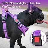PoyPet No Pull Dog Harness Reflective Easy On Front Back D Ring L Purple view 2