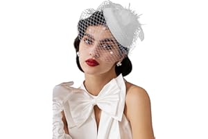 Zivyes Fascinator Hats for Women Pillbox Hat with Veil Headband and a Forked Clip Tea Party Headwear
