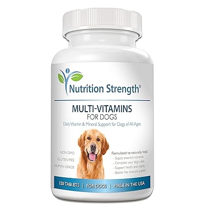 What Vitamins Are Good For Dogs