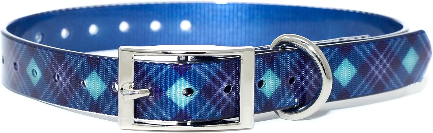 titan dog collar
