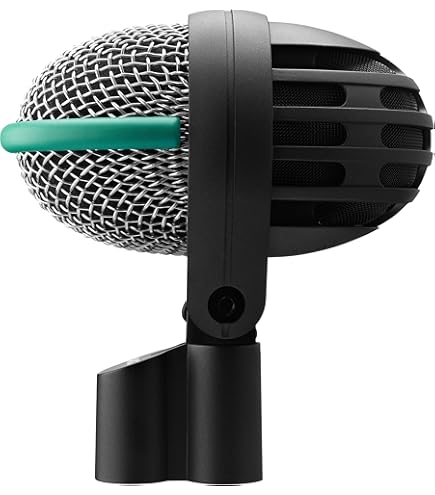 Amazon.com: AKG D112 MkII Professional Bass Drum Microphone