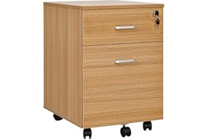 Vinsetto 2 Drawer File Cabinet with Lock and Keys, Mobile Vertical Filing Cabinet with Wheels and Drawers, Home Office Cabine