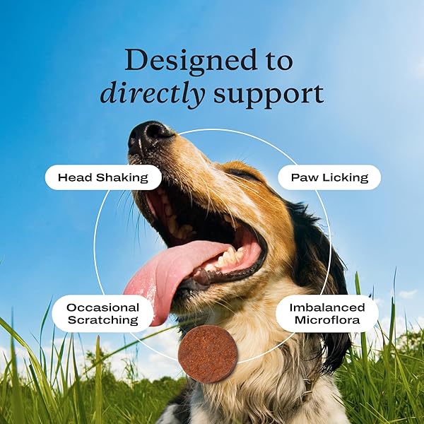 PETLAB CO. ALLERGY & IMMUNE PROBIOTICS FOR DOGS, SUPPORT SEASONAL ALLERGIES, GUT & DIGESTIVE HEALTH – PORK FLAVOR – 30 SOFT CHEWS – PACKAGING MAY VARY