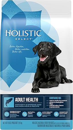 holistic adult dog food