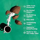 Love Life Supplements MCT Powder 300g Coconut Derived 0g Carbs Vegan view 3