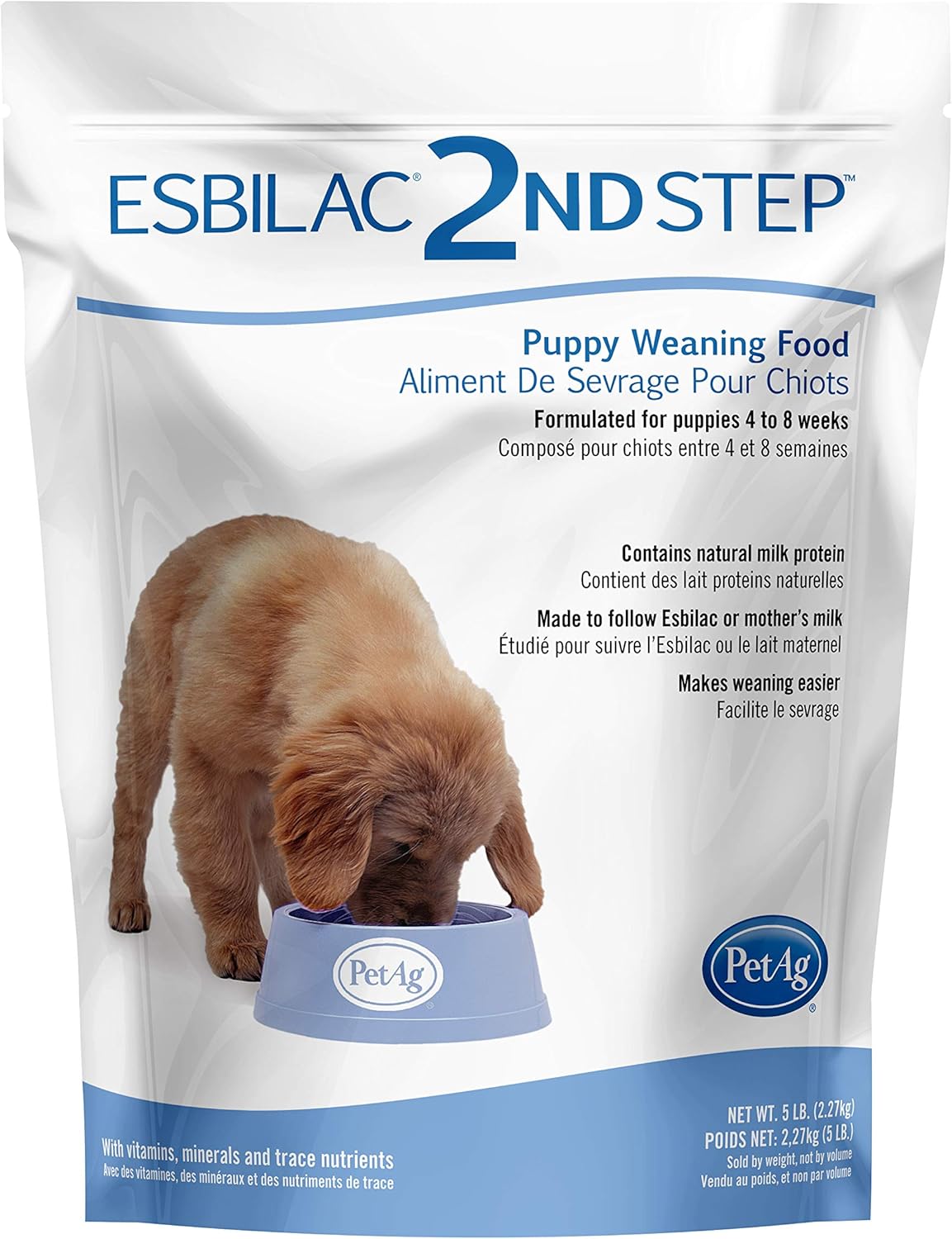 rat terrier and german shepherd mix