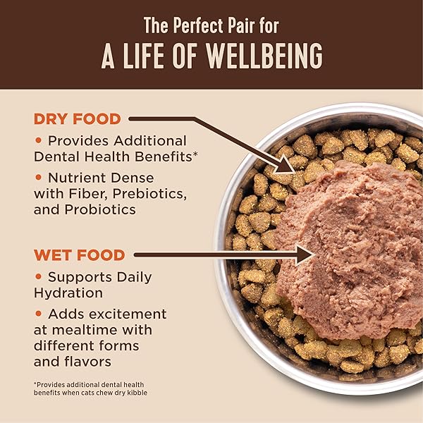 WELLNESS CORE+ HAIRBALL ADULT DRY CAT FOOD, NATURAL, GRAIN FREE KIBBLE, CHICKEN RECIPE, 4.75 LB BAG