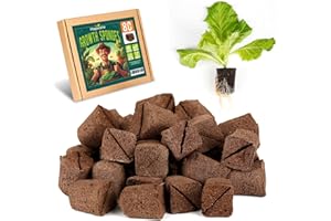 Hapxalie Root Riot, Eco-Friendly Biodegradable Material, Seed Starter Pod, Starter Plugs, 80-Pack, Peat Coconut Coir, Fits Standard Clone Trays, Indoor Outdoor Gardening, Brown