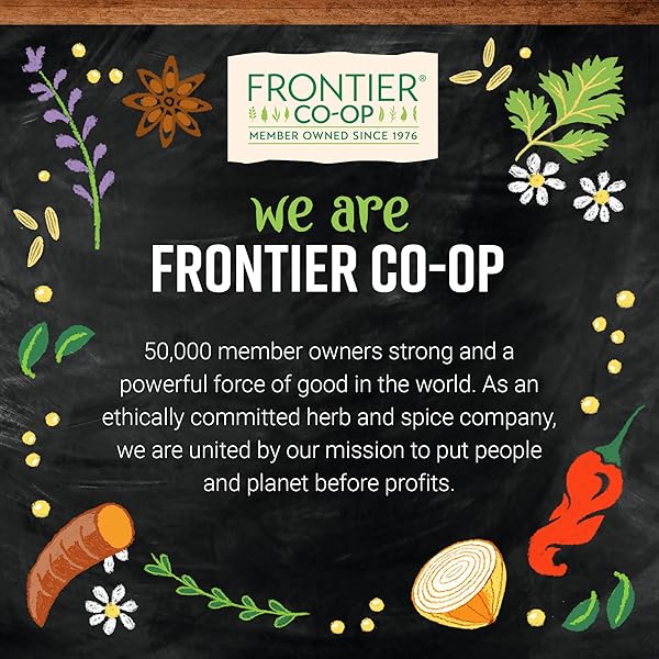 FRONTIER CO-OP VEGETARIAN BROTH POWDER, 6.98 OZ – SAVORY BLEND FOR SOUPS, CASSEROLES, AND CURRIES