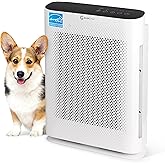 Air Purifier for Home Allergies & Pets | 4-in-1 H13 True HEPA Filter/Ionizer/Carbon + UV Light | Portable Air Purifiers for Large Room & Bedroom Odor Elimination - InvisiClean Aura II