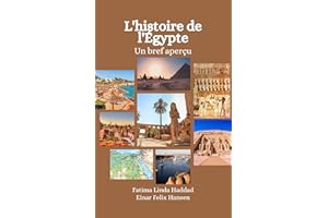 L'histoire de l'Égypte: Un bref aperçu (French Edition)