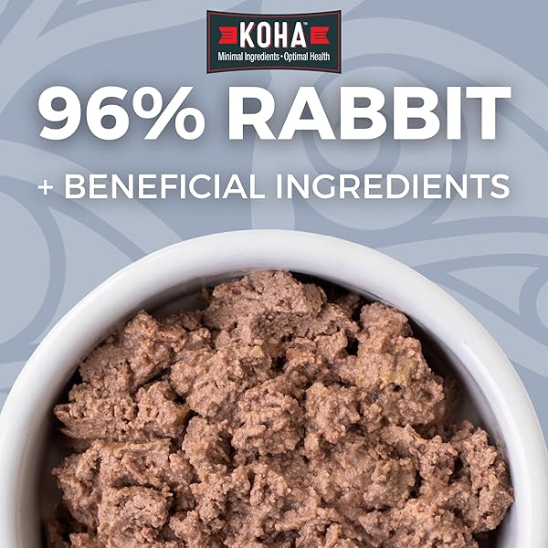 KOHA LIMITED INGREDIENT DIET RABBIT PATE FOR CATS – SINGLE MEAT WET CAT FOOD FOR SENSITIVE STOMACHS – *NEW BATCH JANUARY 2025, IMPROVED, SMOOTH TEXTURE* – PATE CAT FOOD, NO FILLERS – 5.5OZ PACK OF 24