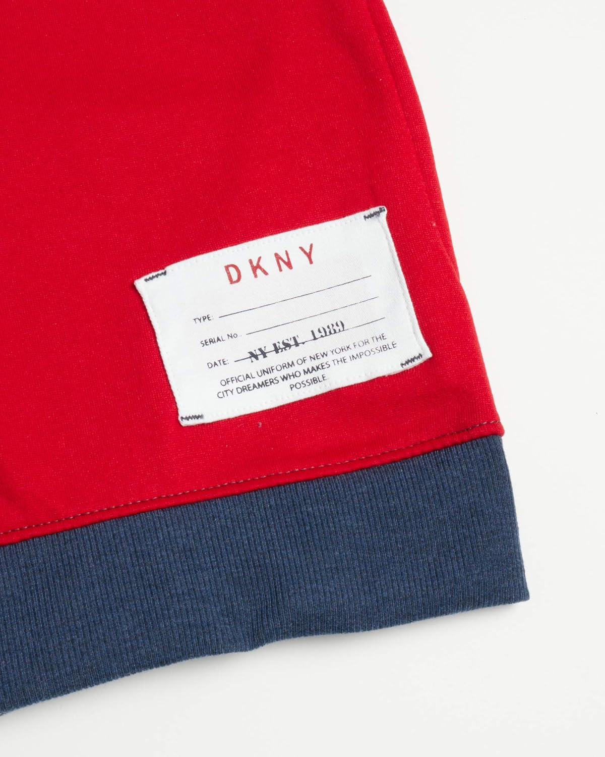 DKNY Boys Jogger Set - 2-Piece Fleece Pullover Hoodie Sweatshirt and Sweatpants: Clothing