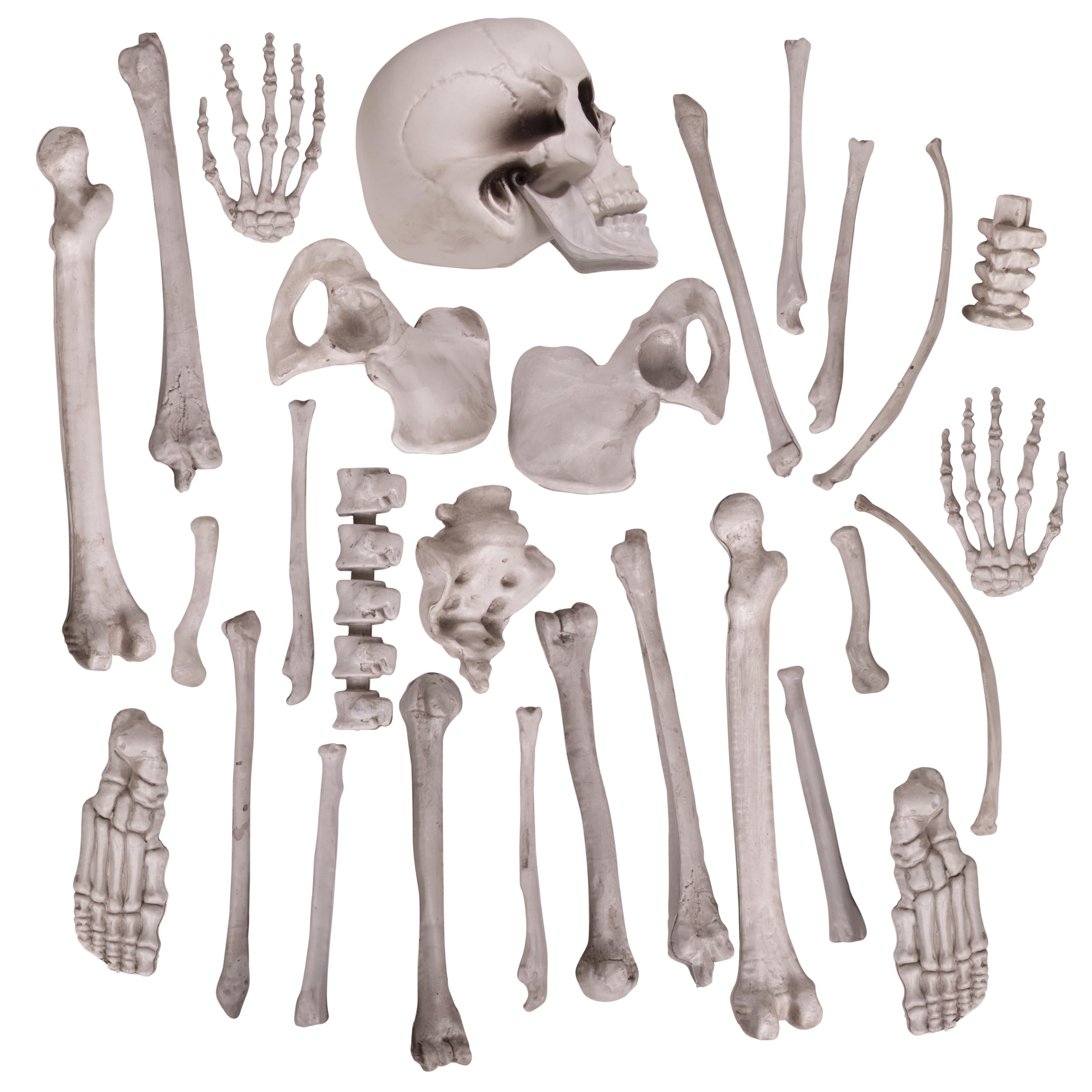 Kangaroo Halloween Skeleton Decor Bones 30 Pieces Bulk - Large Bag of Plastic Bones for Outdoor Yard Decoration - Scary Graveyard Fake Skulls and Bones