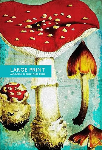 Amazon Com Kitchen Print Kitchen Decor Vintage Mushroom Art