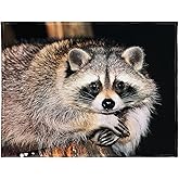 60" x 80" Blanket Comfort Warmth Soft Plush Throw for Couch Cute Raccoon Sitting on a Tree