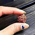 Original 5 Mukhi Rudraksha Bead from Nepal – Five Faced Natural Rudraksh with Lab Certified | Spiritual & Astrological Use | Genuine Elaeocarpus Ganitrus Bead | Unisex for Men & Women