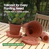Whitefurze G04118 Garden Pot Saucer 12.7/15cm Terracotta Set of 5 view 4