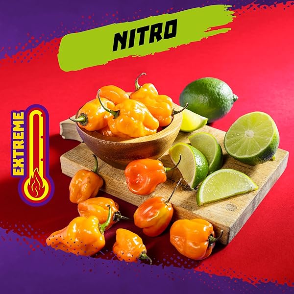 TAKIS MINI 25 PC / 1.23 OZ BITE SIZE VARIETY PACK, ASSORTED FLAVORED MIXED ROLLED TORTILLA CHIPS – (15) FUEGO MINI 1.23 OZ, (10) NITRO MINI 1.23 OZ