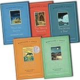Madeleine L Engle The Austin Family Chronicles 5 Books Collection Pack Set RR...
