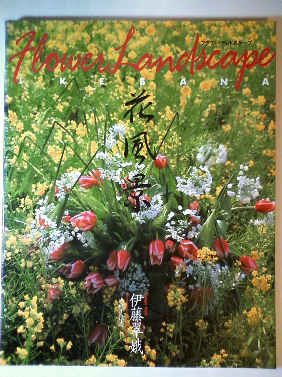 花風景 フラワー ランドスケープ Amazon Com Books