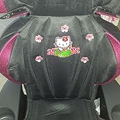 Amazon Com Evenflo Big Kid Lx High Back Booster Car Seat