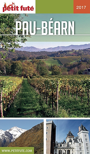 Download PAU - BEARN 2018 Petit Futé (GUIDES DEPARTEM) PDF