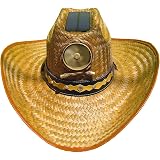 Amazon.com: Sun Hat with 2 Solar Fan 
