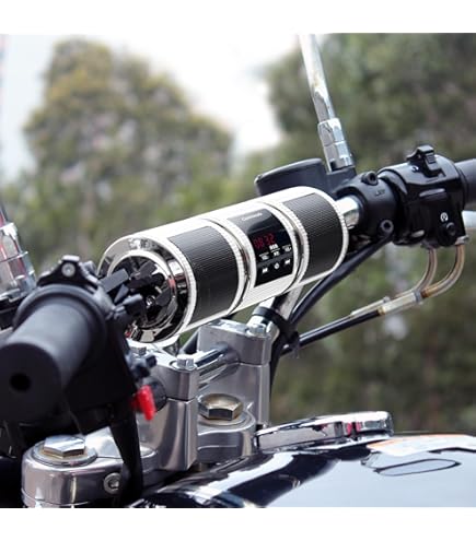 Amazon.com: Kuryakyn 3787 Motorcycle Audio Accessory: Zombie Skull