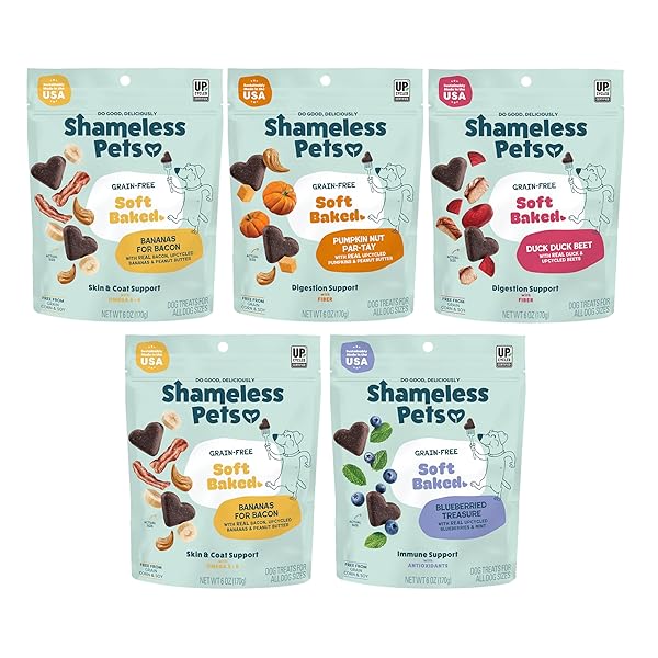SHAMELESS PETS SOFT-BAKED DOG TREATS, VARIETY 5-PACK –...