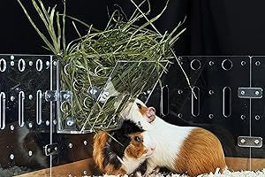 GuineaLoft™ Hay Feeder - The Ultimate Hay Feeder for Small Pets Like Guinea Pigs, Rabbits and Chinchillas. Designed & Made by Seasoned Owners Who Tried Everything Out There - Guinea Loft Exclusive