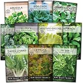 Sow Right Seeds - Large Greens Seed Collection for Planting - Spinach, Arugula, Kale, Lettuce, Tat SOI, Pak Choi and Rainbow Swiss Chard - Non-GMO Heirloom - Plant and Grow a Home Vegetable Garden