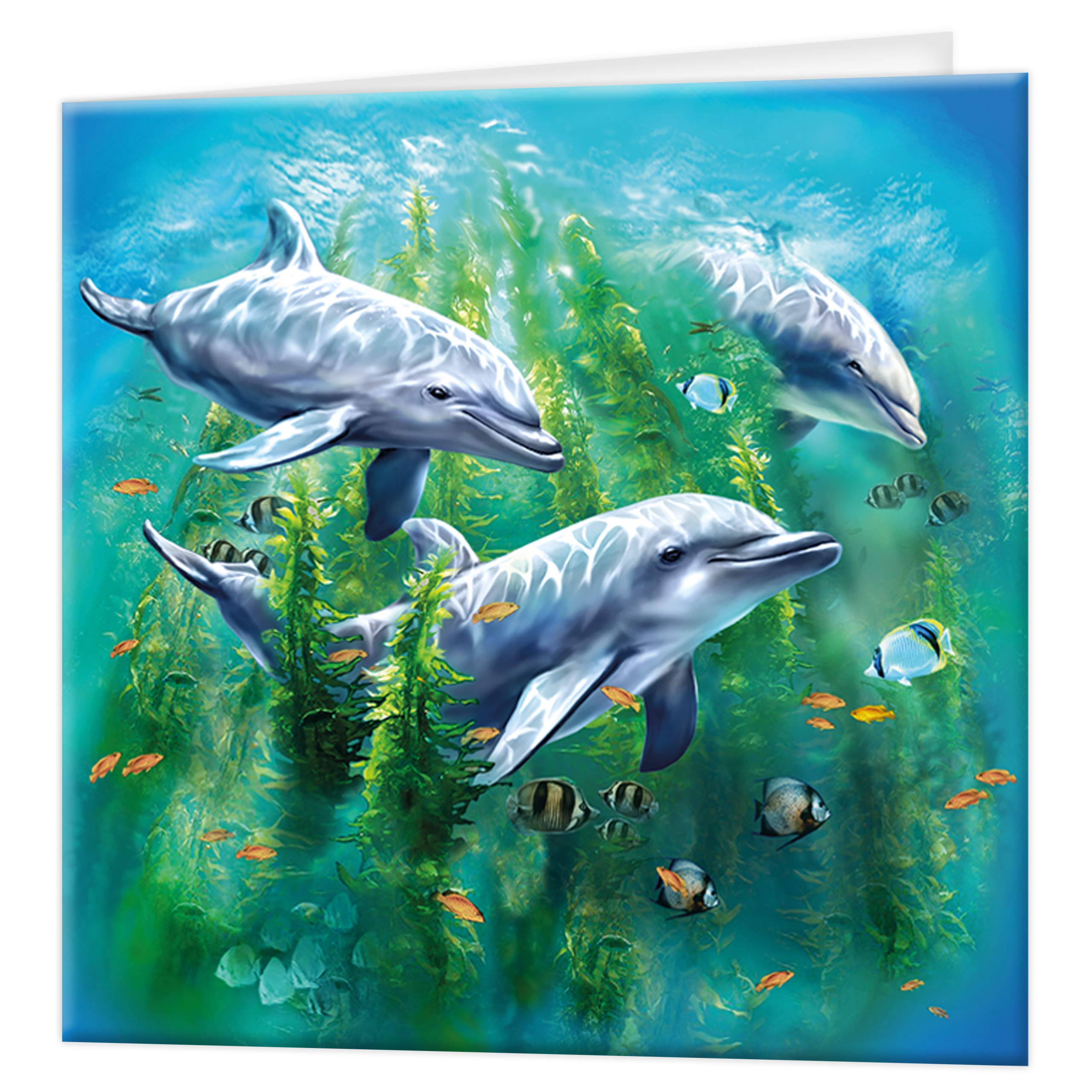 3D LiveLife Greeting Card - Dolphin Kelp Bed from Deluxebase. Blank Card with Lenticular 3D Image and Envelope. Unique Notecard for All Occasions and Premium Stationery Sets.